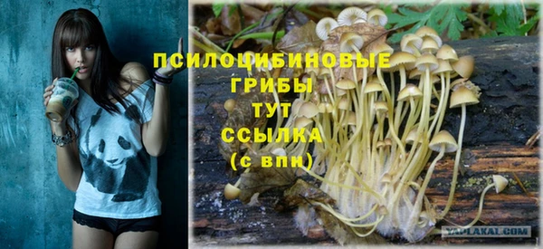бошки Алзамай