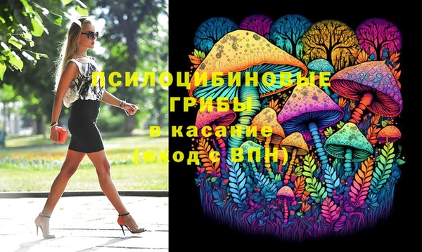 бошки Алзамай